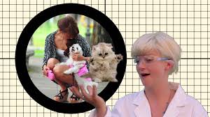 REVIEW: Sexy Science! by Monkey&nbsp;Collective