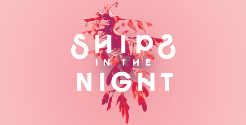 shipsinthenight
