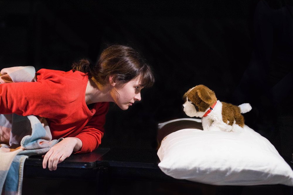 newownerdevimage115-2