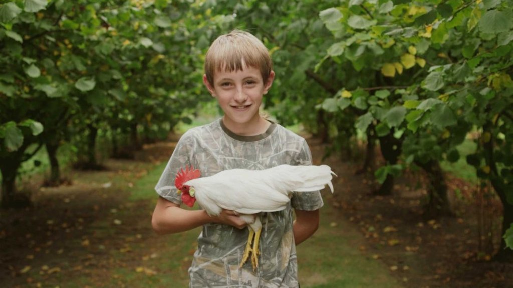 REVIEW: Pecking Order | Lotterywest Festival&nbsp;Films